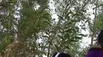 Bokep Indo Abg Jilbab Pacaran Ngentot Di Semak-Semak