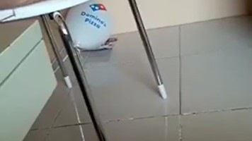 Cewek Hilbab Hitam Sange Colmek